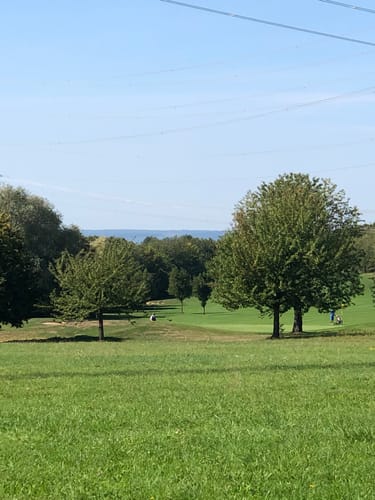Pfahlhofwald
