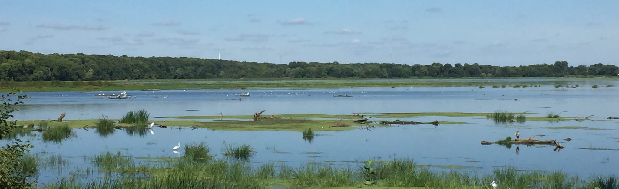McKinley Woods KSG Prairie Loop Trail, Illinois 33 Reviews, Map
