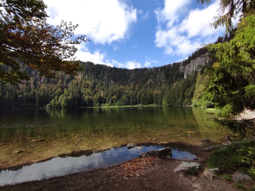 Um den Feldsee