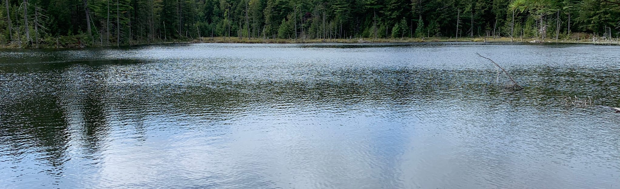 Pole Hill Pond 152 Photos New York Randonnée AllTrails