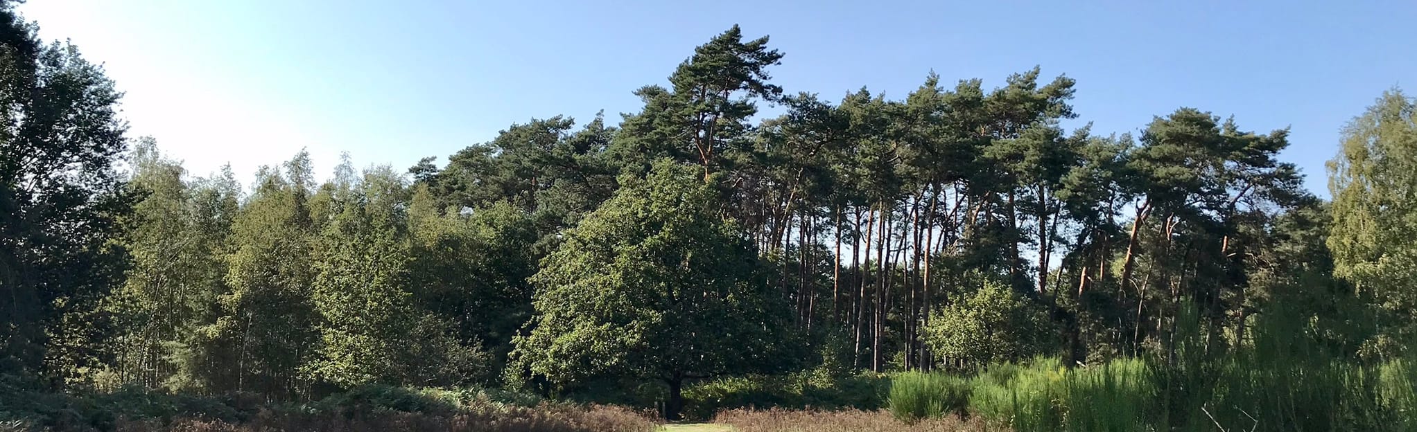 Heidebos Grand Circuit: 45 Reviews, Map - East Flanders, Belgium ...