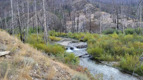 2023 Best River Trails in Challis | AllTrails