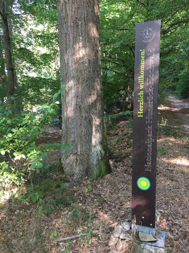 Quer durch den Nationalpark Hunsrück-Hochwald