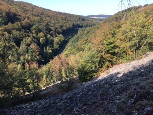 Saar-Hunsrück-Steig Etappe 11: Morbach - Kempfeld