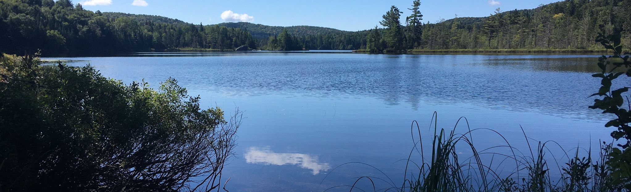 Sentier Lac Tour vers La Mine, Quebec, Canada - 10 Reviews, Map | AllTrails