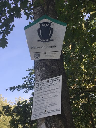 Um den Möhlauer See