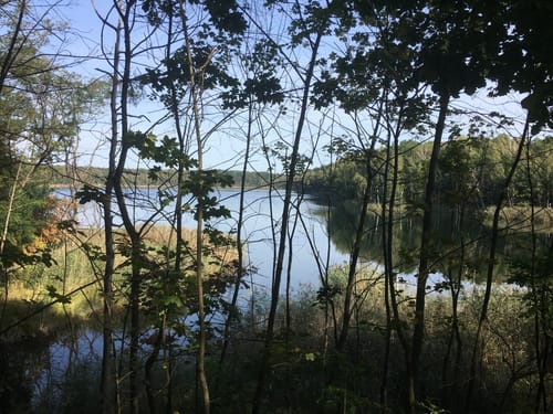 Um den Möhlauer See