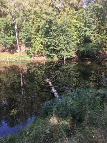 Um den Möhlauer See