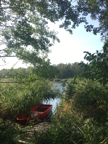 Um den Möhlauer See