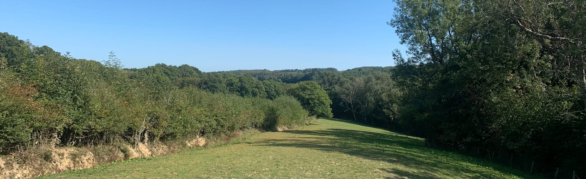 Burwash Circular 16 foto's East Sussex, Engeland AllTrails