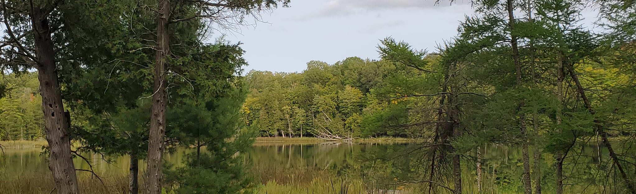 Lower Woodcock Lake, Michigan 55 Reviews, Map AllTrails