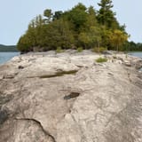 Button Bay Trail, Vermont - 175 Reviews, Map | AllTrails