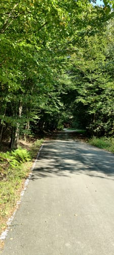 Biberpfad im Hürtgenwald