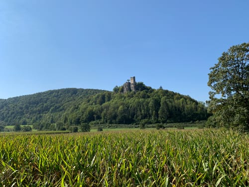 Fränkische Schweiz Halbmararathon