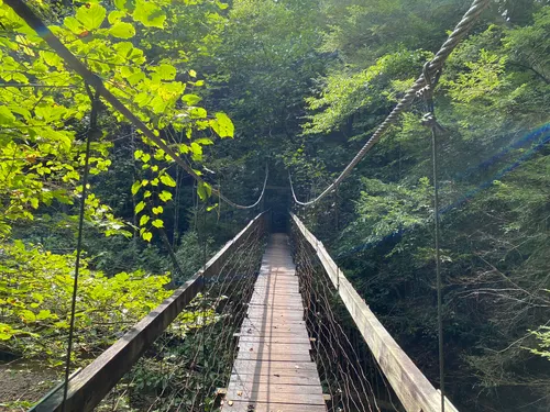 10 Best Hikes and Trails in Daniel Boone National Forest AllTrails