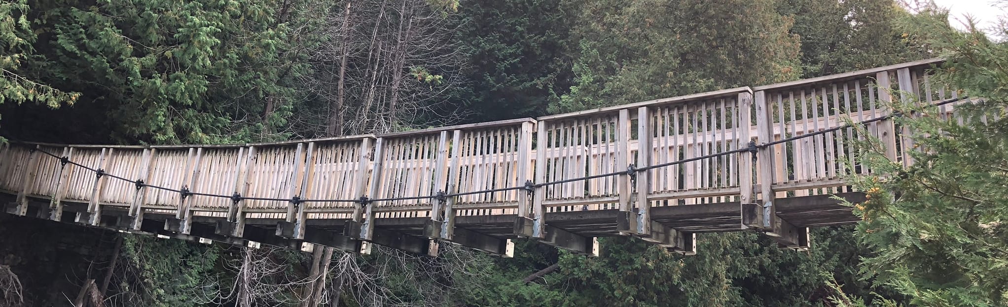 Belfountain Loop, Ontario, Canada 86 Reviews, Map AllTrails