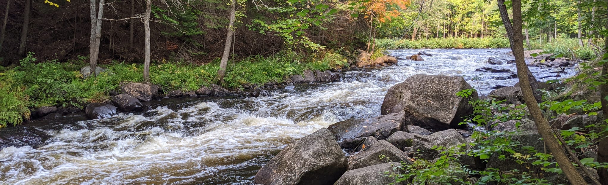 Brooks Falls 48 Fotos Ontario, Kanada AllTrails