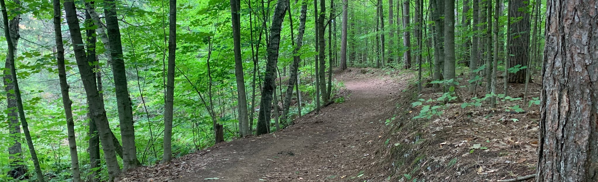 Nokomis Trail One 22 Reviews, Map Ontario, Canada AllTrails