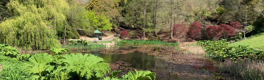 are dogs allowed in the adelaide botanic gardens