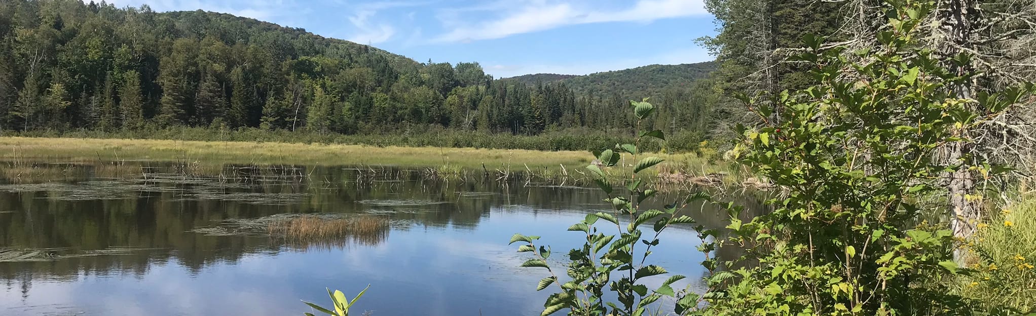 Rang Sept Map, Guide Quebec, Canada AllTrails