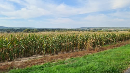 Rhäden-Rundweg