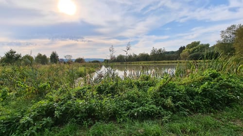 Rhäden-Rundweg
