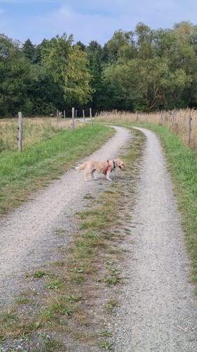Rhäden-Rundweg