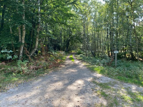 Ostseebad Prerow - Darßer Urwald - Graal-Müritz