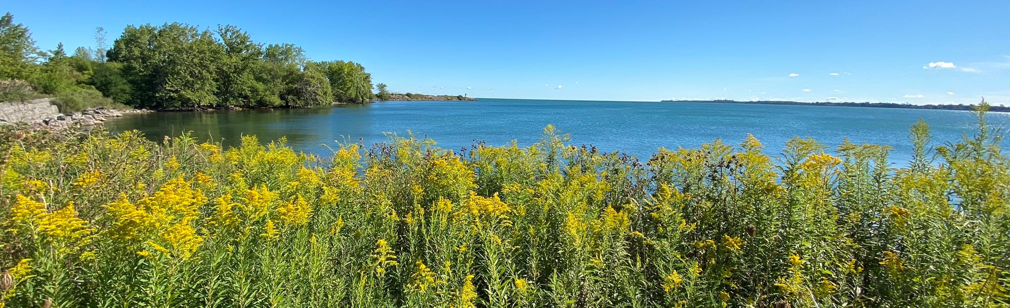 Port Weller Waterfront Trail 205 Fotos Ontario, Kanada AllTrails