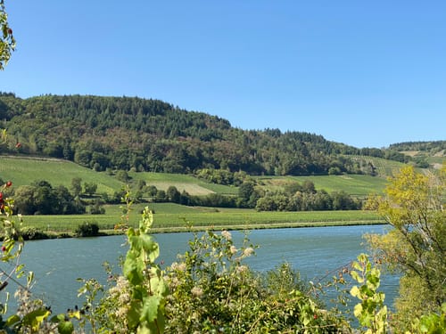Von Trier nach Trittenheim