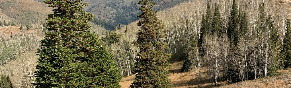 Reynolds Gulch Mine – Big Cottonwood Canyon, Utah – The Trek Planner