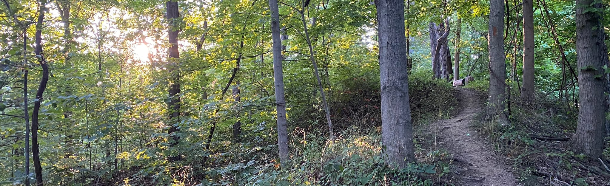 Broughton Orange Loop Trail, Ohio 131 Reviews, Map AllTrails