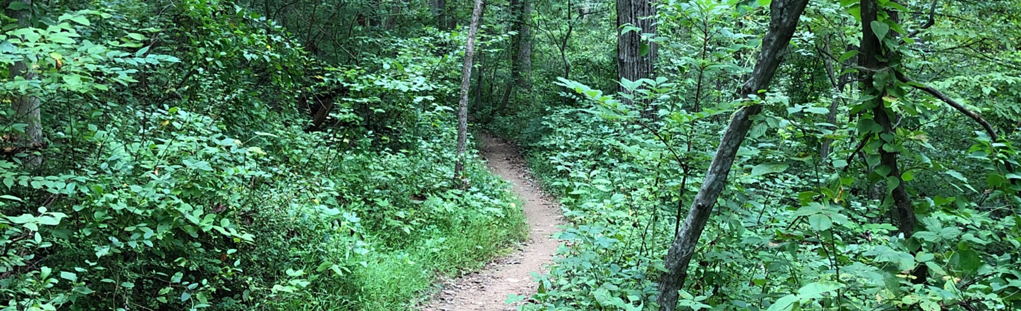 Cabin John Trail, Maryland 905 Reviews, Map AllTrails
