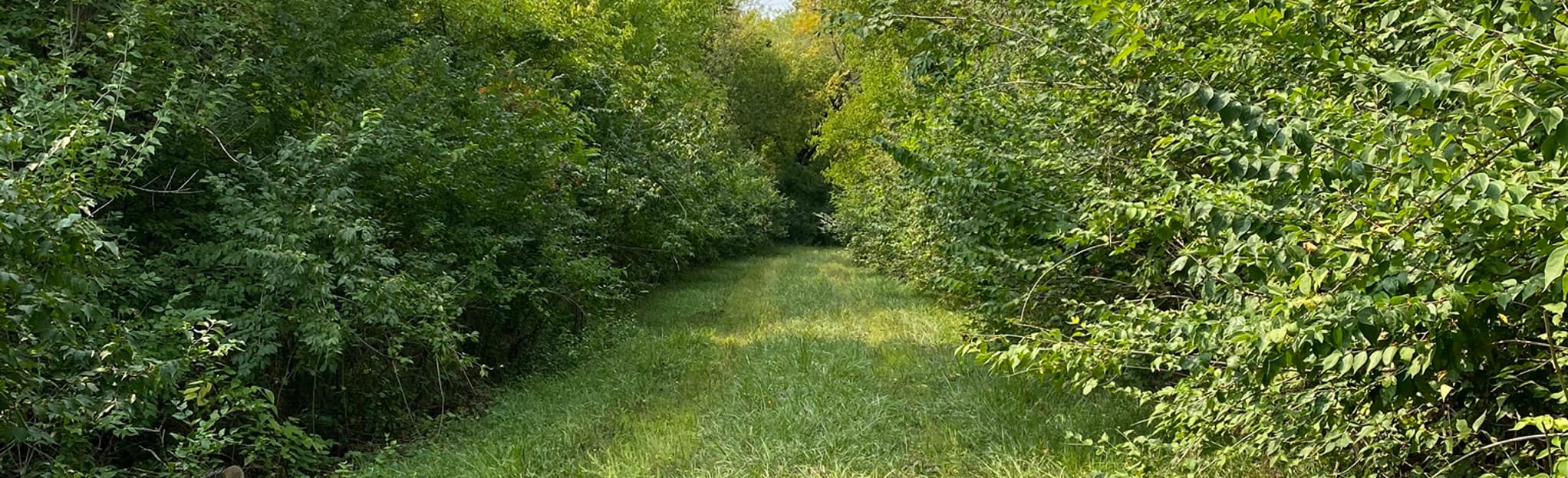 Browns Lake Trail, Iowa 7 Reviews, Map AllTrails