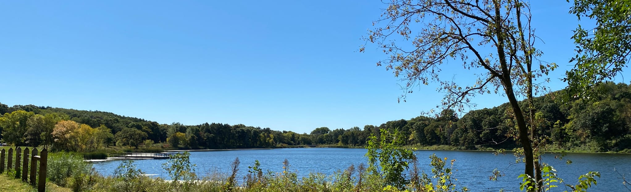 Cottage Grove Ravine Regional Park 202 Photos Minnesota Randonnée