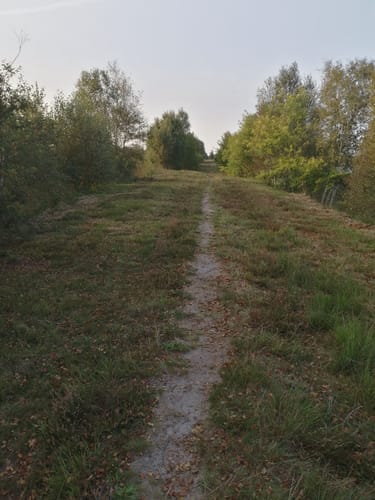 Aschendorfer Moorpfad