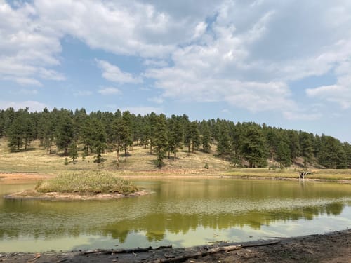 2023 Best Forest Trails in Flying J Ranch Park | AllTrails