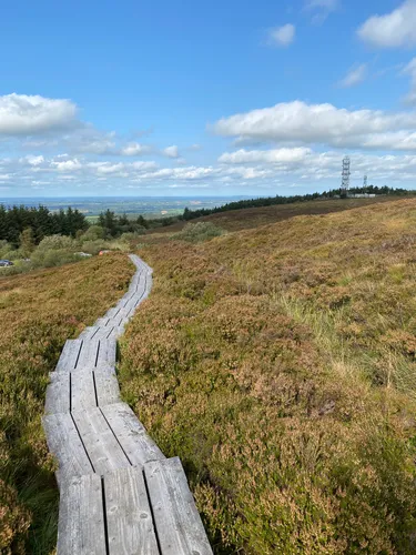 Slieve bloom on sale