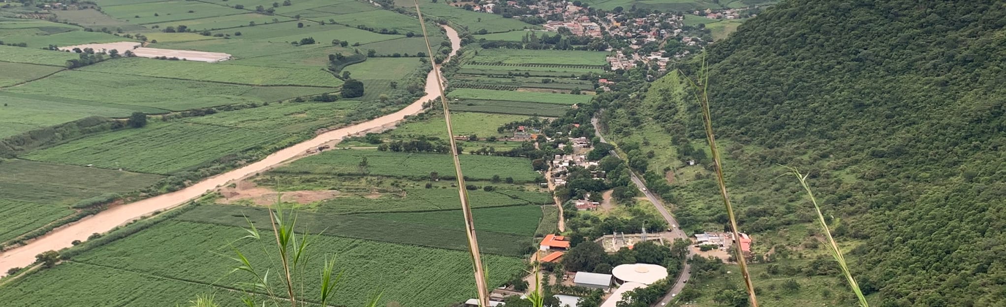 Cerro de la Mesa Tamazula, Jalisco, Mexico Map, Guide AllTrails