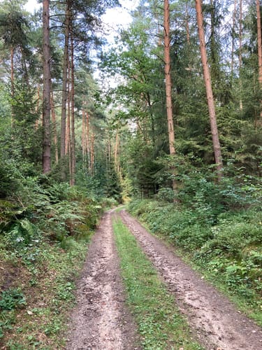 Kleine Runde in Südergellersen