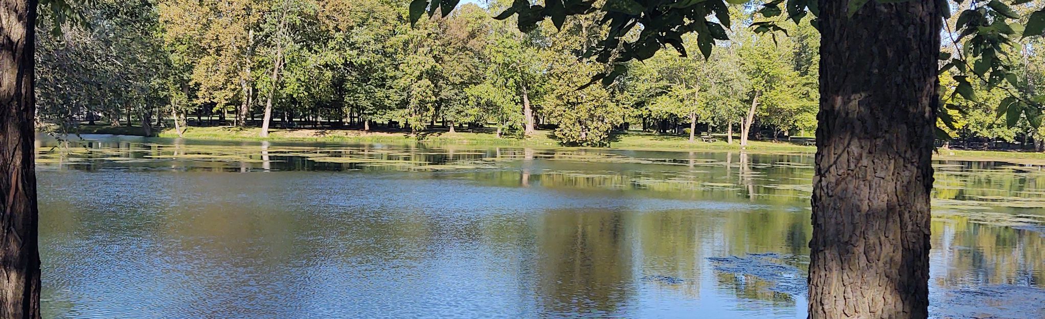 Clearbrook Lake Loop, Virginia 120 Reviews, Map AllTrails