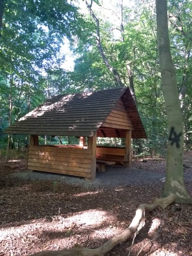 Waldrundweg im Naturerlebnis Krendel ab Kreismuseum Syke