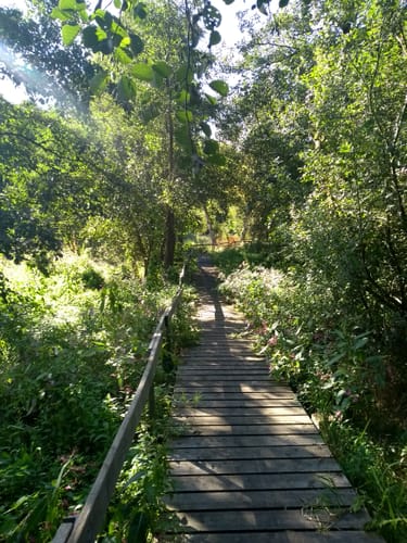 Waldrundweg im Naturerlebnis Krendel ab Kreismuseum Syke
