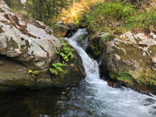Wiesensteig (Premiumwanderweg)