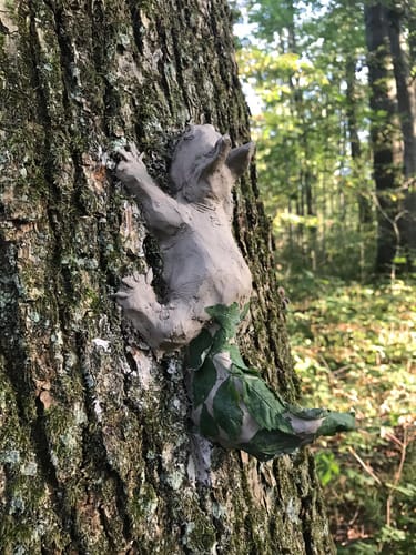 Naturerlebnisweg Innaue mit Inn-Fähre