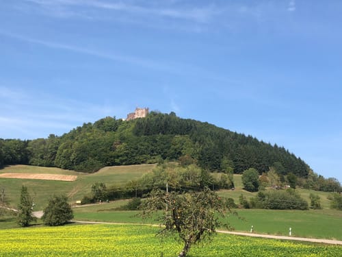 MTB: Auf zur Burg Geroldseck