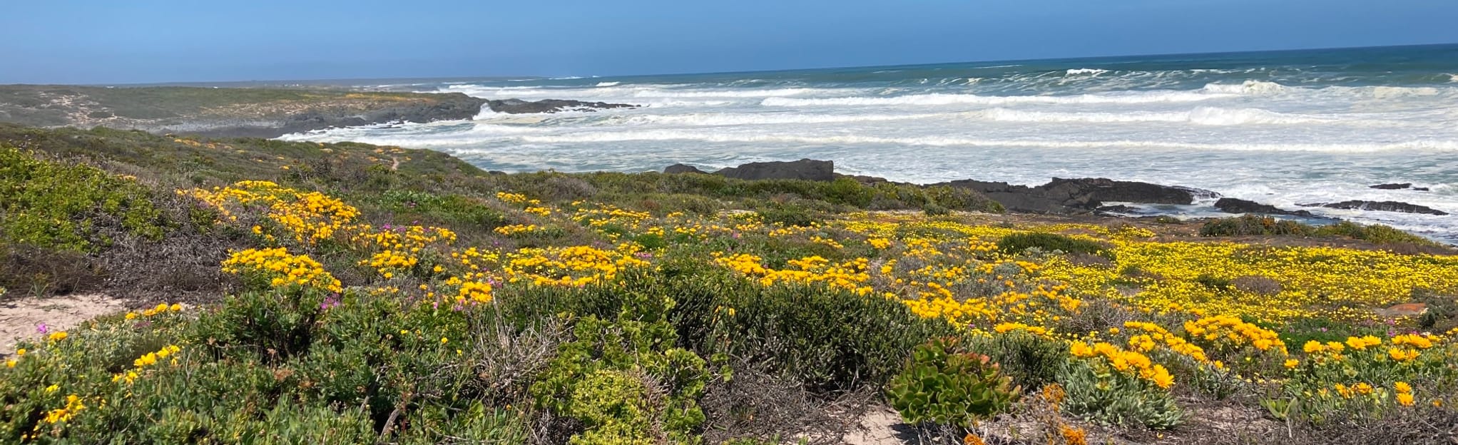 Grotto Bay Coastal Hike, Western Cape, South Africa 13 Reviews, Map