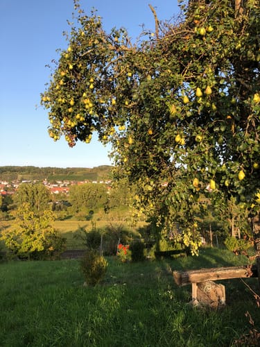 Mondweg Winterhausen