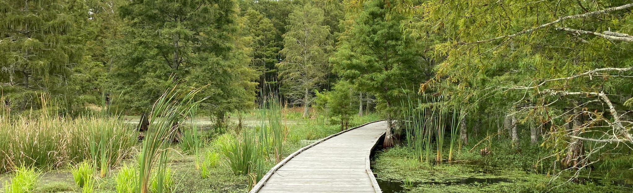 New Holland Trail, North Carolina 13 Reviews, Map AllTrails