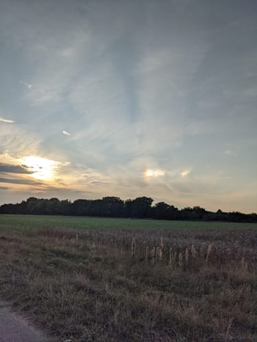 Von Weitenung über den Schlosspark Favorite